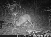 Quiz Un peu de tout pour tous 3