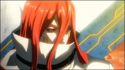 Qui gagne ce combat ?