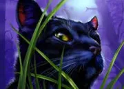 Quiz LGDC : Pelage de Brume