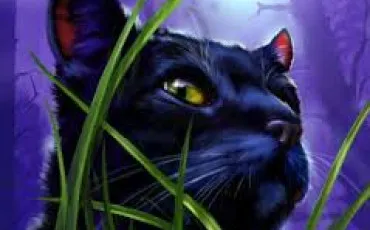 Quiz Litt�rature, po�sie