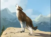 Quiz Culture g�n�rale !