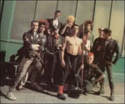 Comment se nomme un groupe fran&ccedil;ais de punk rock ayant marqu&eacute; les ann&eacute;es 80 ?