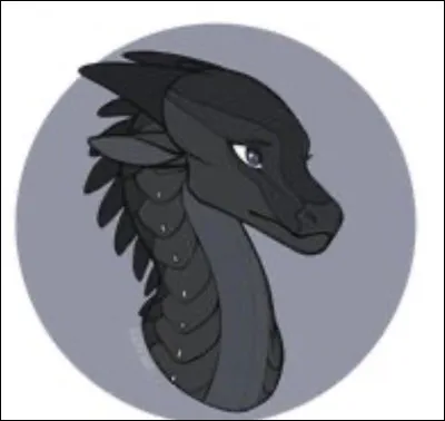 Comment ont-ils surnomm&eacute; leur camp ?