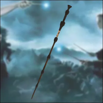 Quel sort utilise-t-on pour tuer Dumbledore ?