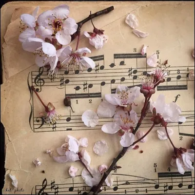 Mon 1er est un peintre surr&eacute;alisteMon 2e est une r&eacute;ponse positive &agrave; BerlinEt mon tout chantait...