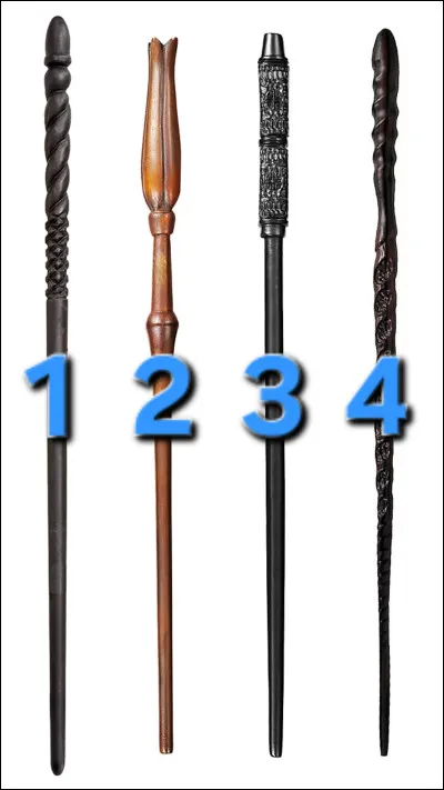 D�ailleurs, laquelle est-ce ? (R&eacute;pondez par le num&eacute;ro correspondant de l�image ci-dessus.)