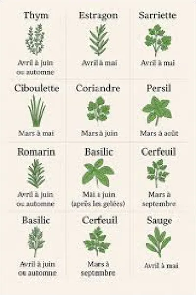 Voici diff&eacute;rents ...
