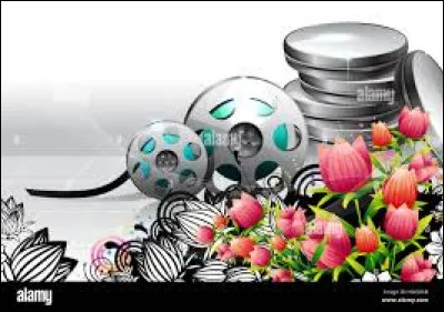 Mon 1er est &eacute;gal &agrave; quatre moiti&eacute;sMon 2e n'est pas brefMon tout a jou&eacute; dans...