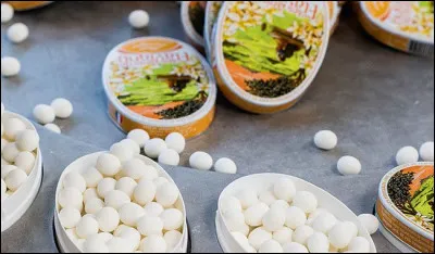 Quel est ce petit bonbon, tout rond, dans sa bo&icirc;te en fer ovale ?