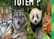 Test Quel est ton animal f�tiche ?