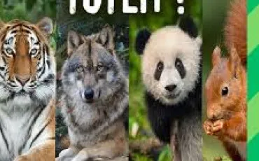 Quiz Test de personnalit�