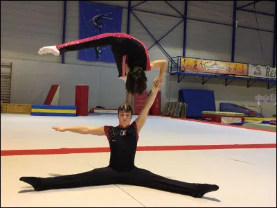 Le praticable fait partie de la...