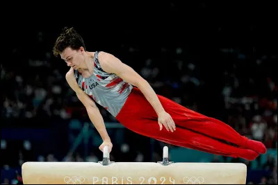 Le cheval d'ar&ccedil;on est un agr&egrave;s masculin qui fait partie de la...