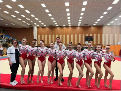 Dans quel(s) sport(s) fait-on le plus de figures ?