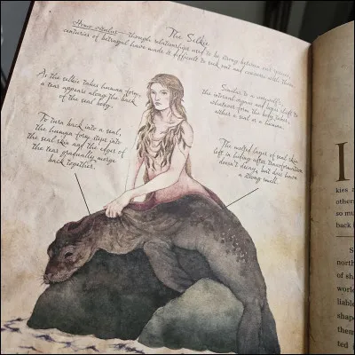 Et cette cr&eacute;ature mi-femme mi-phoque, c'est...