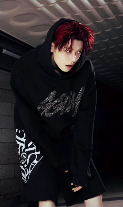 Quels groupes chantent ''Ice Cream'' ?