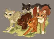 Quiz LGDC - Les couvertures de livres - Cycle 6