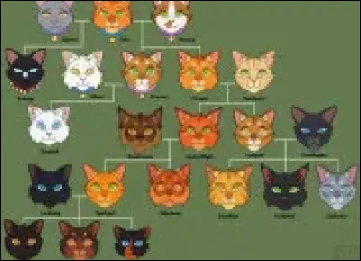 Comment s�appelle le tome 5 ?