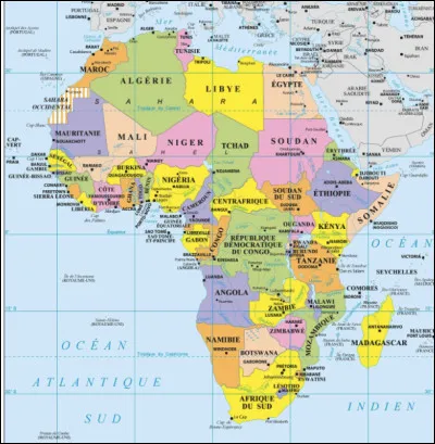 Quel pays n'est pas limitrophe de celui de l'Afrique du Sud ?