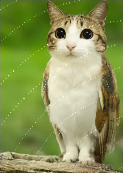 Que repr&eacute;sente un Brainrot dans le jeu ?