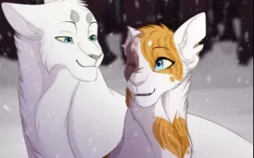 Quiz Litt�rature, po�sie