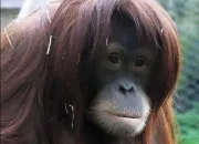 Quiz Ab�c�daire de la culture g�n�rale