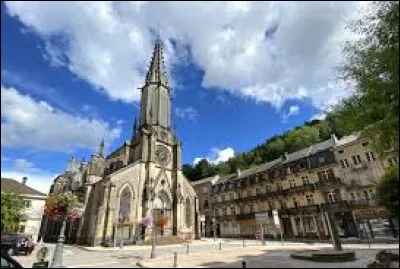 Quel est le surnom de la ville de Plombi&egrave;res-les-Bains ?