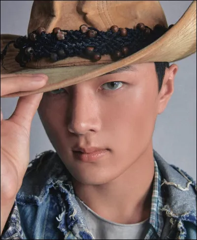 Avec qui ont-ils pu faire une collaboration ?