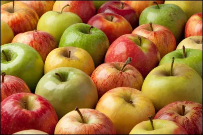 De quoi se nourrit principalement un cheval ?