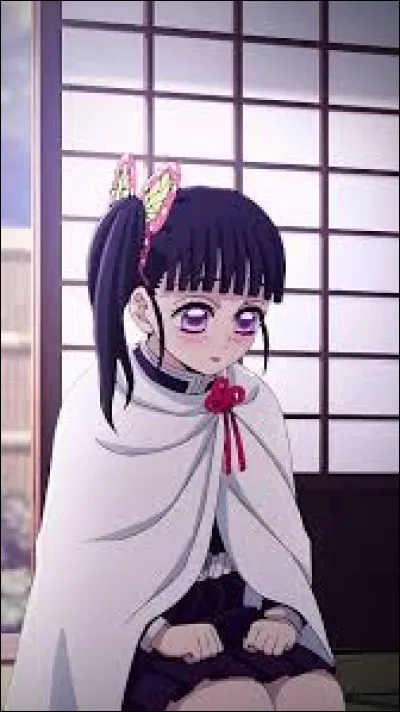 Quel style veux-tu ?