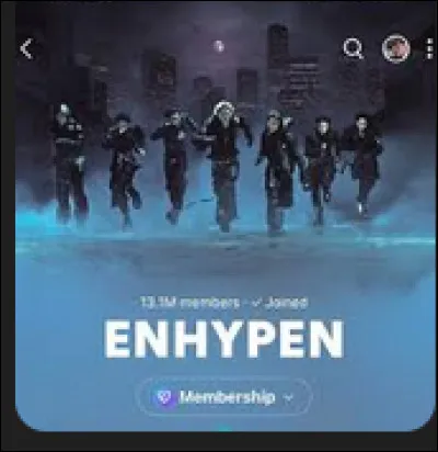 Le concept "SIN" repr&eacute;sente surtout :