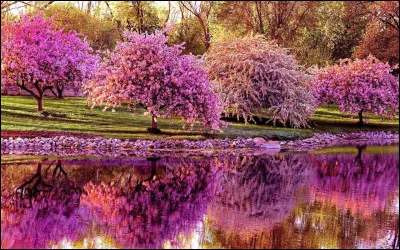 Veux-tu une histoire dr&ocirc;le ?