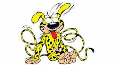 Cliquez sur la bonne r&eacute;ponse :