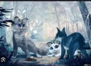 Quiz Poil d'�cureuil