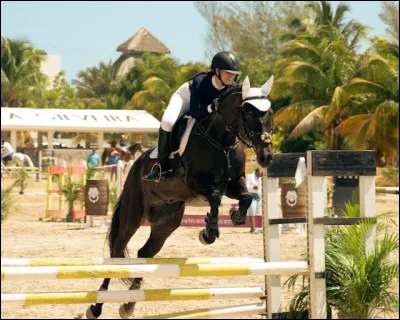 Quelles sont les &eacute;tapes du saut ?