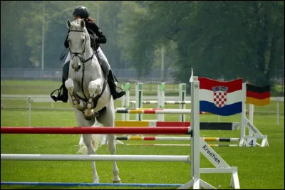 Comment appelle-t-on une suite d'obstacles ?