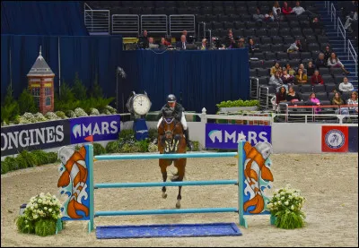 Comment appelle-t-on la chose bleue pr&eacute;sente sous cet obstacle ?