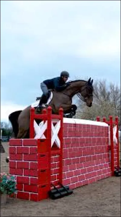 Comment s'appelle cet obstacle ?