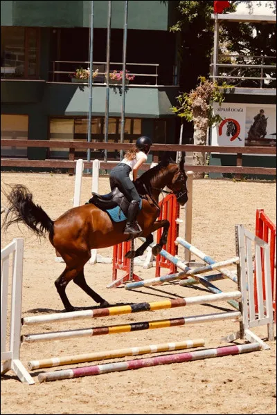 Comment s'appelle l'obstacle qu'est en train de franchir la cavali&egrave;re ?