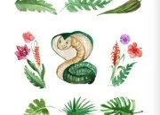 Quiz L'animal est dans la plante