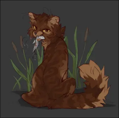 Et lui, qui est-ce ?