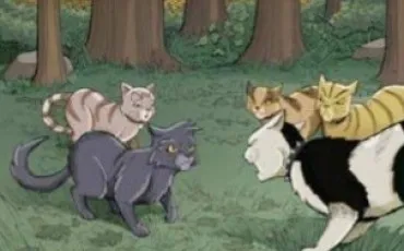 Quiz Test de personnalit�