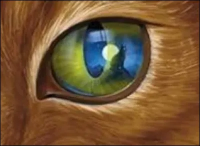 De quelle couleur sont tes yeux ?