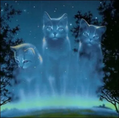 Crois-tu au Clan des &Eacute;toiles ?