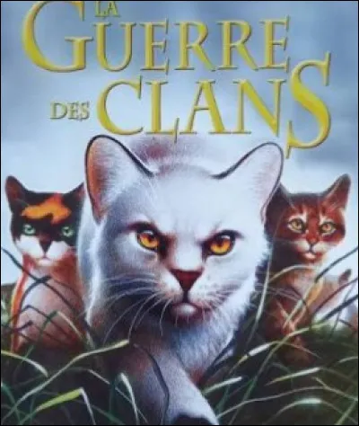 Qui pr&eacute;f&egrave;res-tu ?