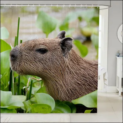 Combien de petits donne en moyenne une femelle ?