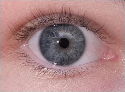 Quelle est la couleur des yeux de moins de 1% de la population dans le monde ?