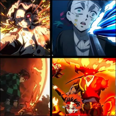 Qui a tu&eacute; Rui ?