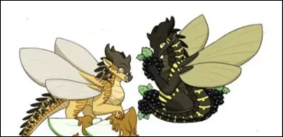 L�universit&eacute; des Lucioles est orient&eacute;e vers�