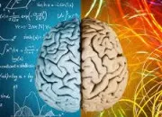 Quiz La culture g�n�rale fait son retour !